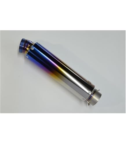 Amazon | アールズギア(R's Gear) スリップオンマフラー ワイバン